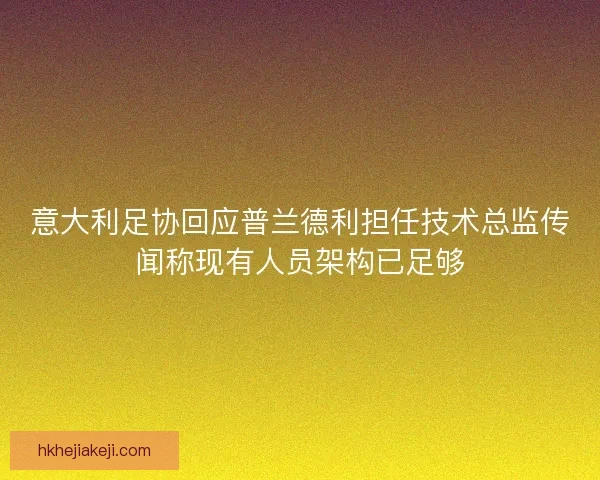 意大利足协回应普兰德利担任技术总监传闻称现有人员架构已足够