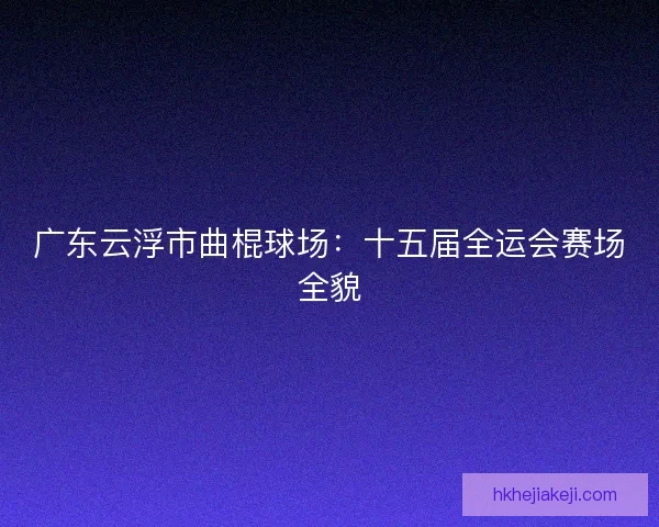 广东云浮市曲棍球场：十五届全运会赛场全貌